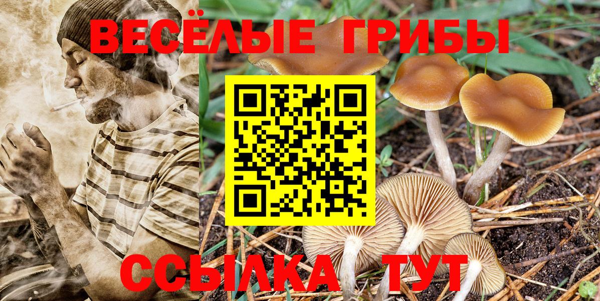 Альметьевск  Псилоцибиновые грибы прущие грибы  Галлюциногенные грибы мухоморы  Вход с VPN 