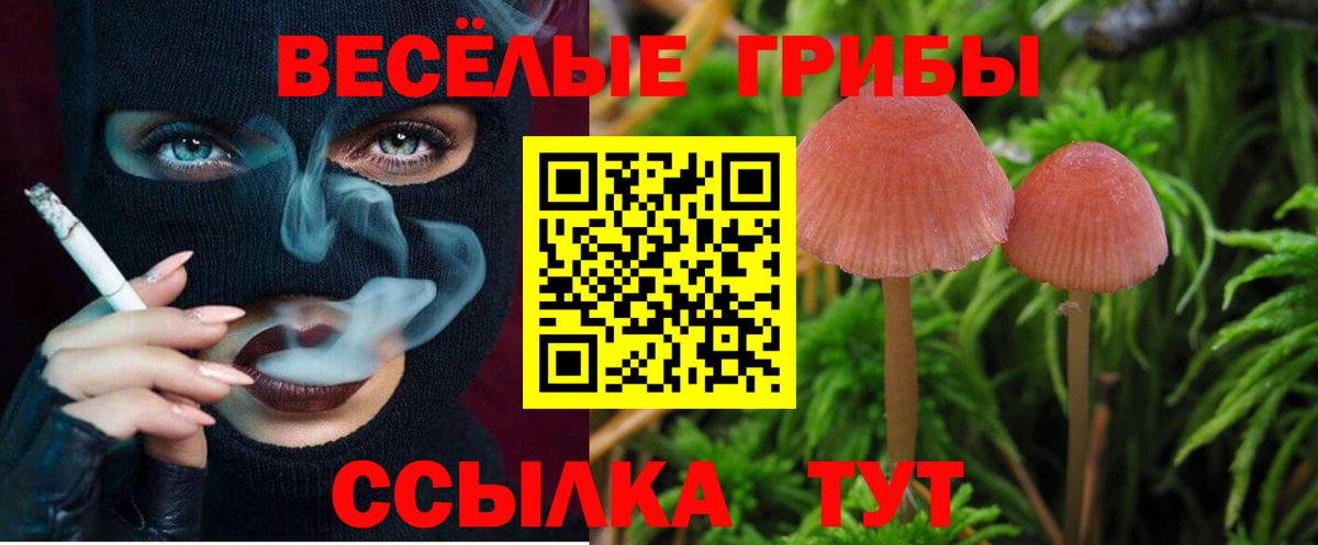 Галлюциногенные грибы MAGIC MUSHROOMS Альметьевск
